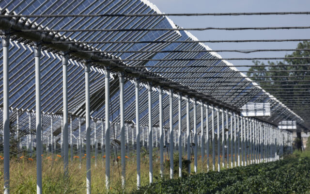 Agrivoltaico: in arrivo regole operative su modalità e tempi erogazione incentivi