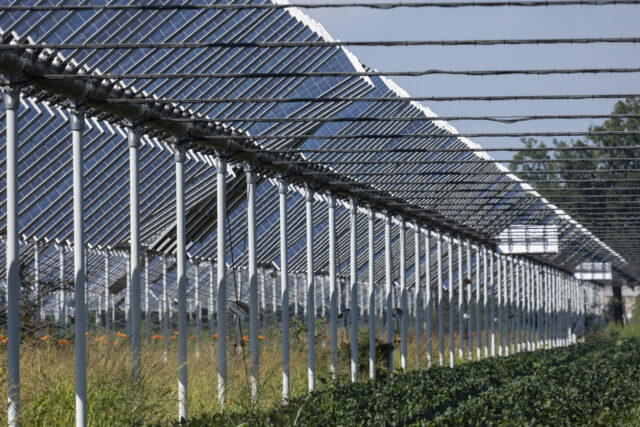 Agrivoltaico: in arrivo regole operative su modalità e tempi erogazione incentivi