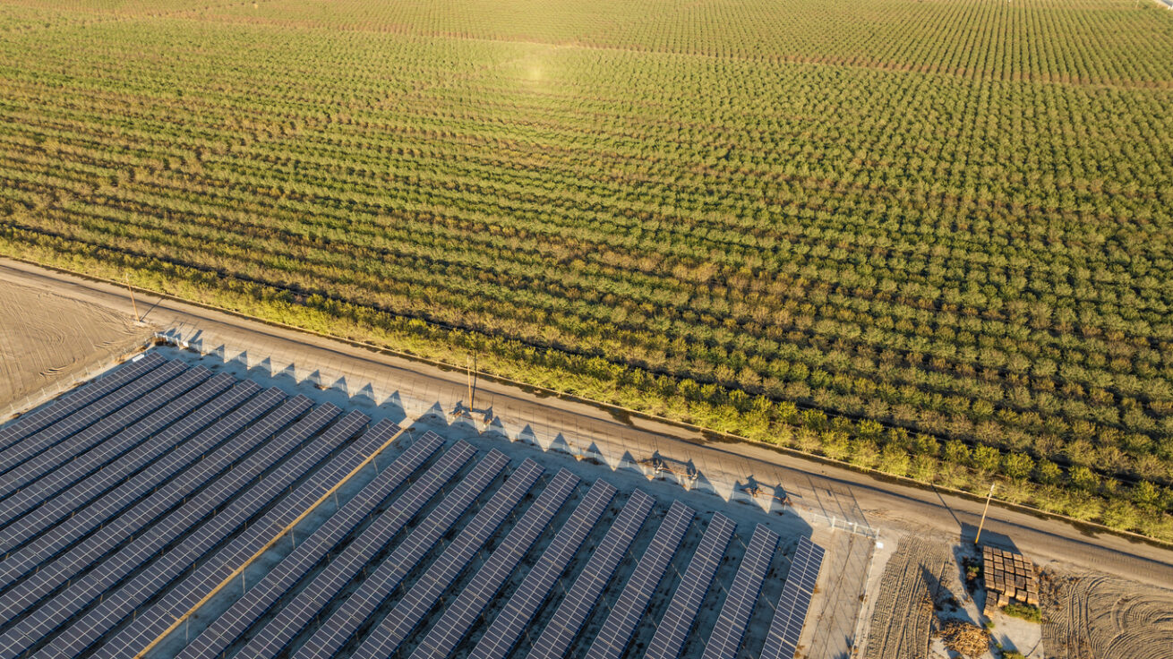 Decreto agricoltura approvato: no fotovoltaico a terra nelle zone agricole