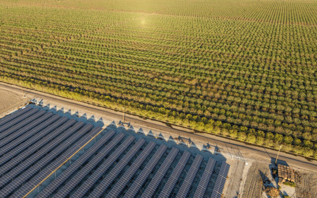 Decreto agricoltura approvato: no fotovoltaico a terra nelle zone agricole