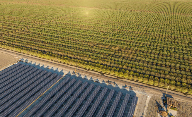 Decreto agricoltura approvato: no fotovoltaico a terra nelle zone agricole